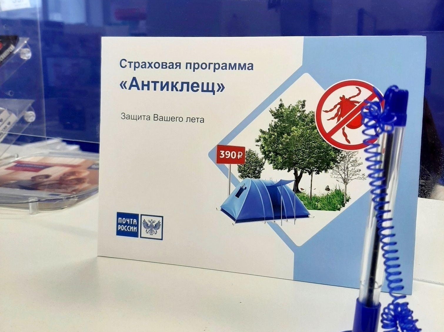 Жители Кировской области могут застраховаться от укусов клещей в почтовых отделениях.
