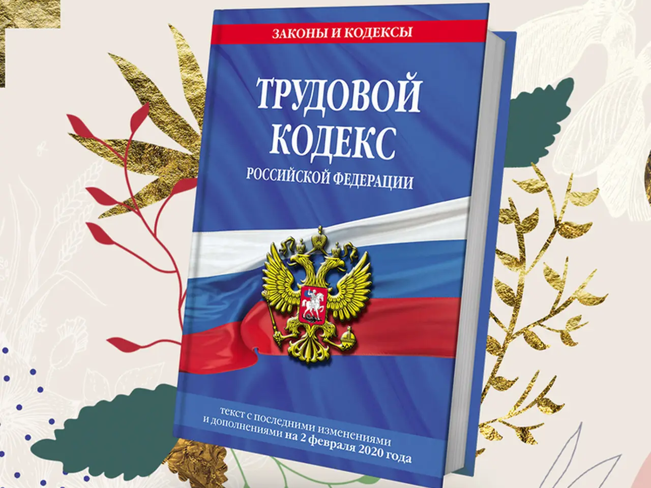 ️ Важные новости для пострадавших в результате ЧС!  ⁣.
