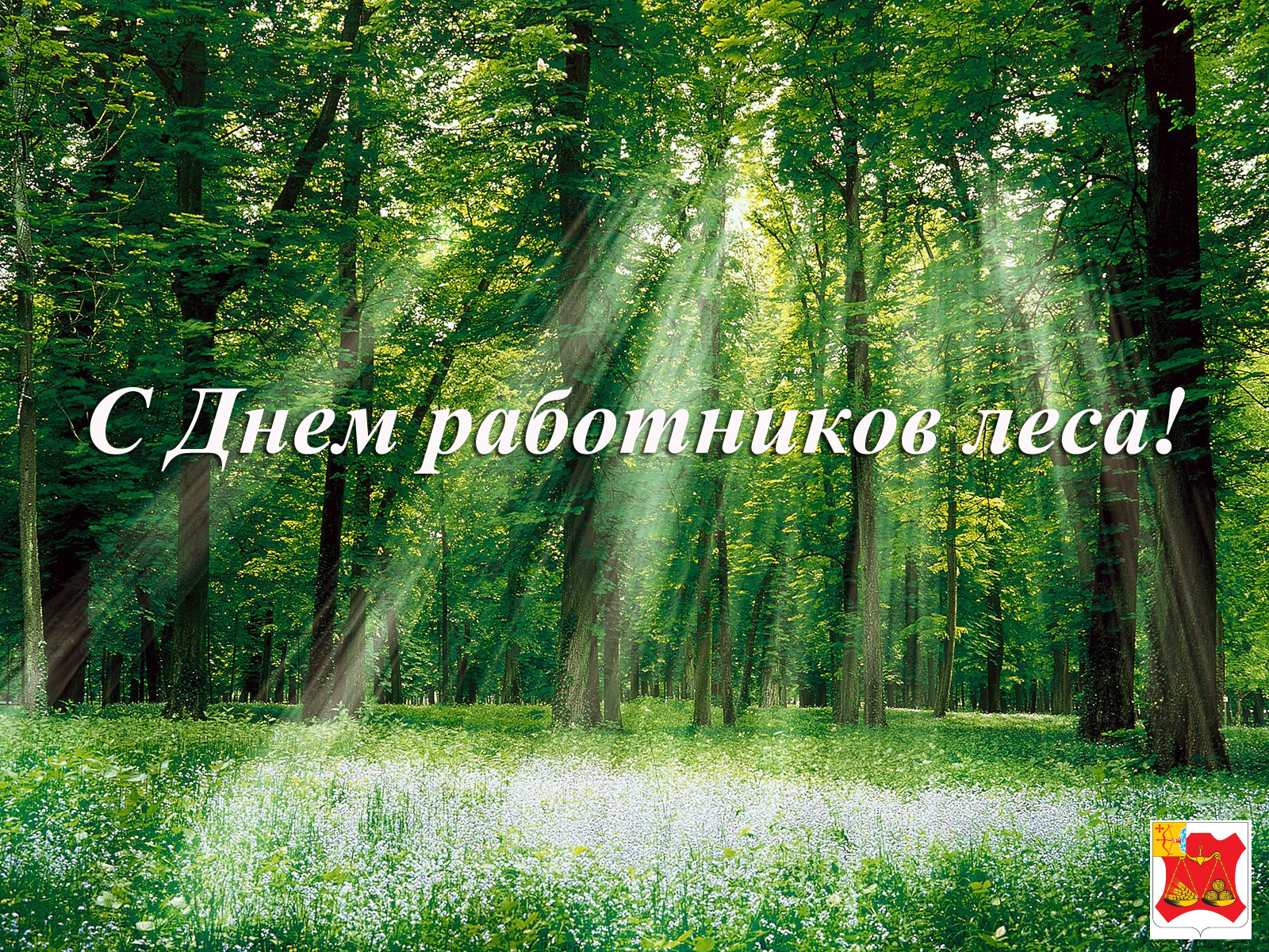 Поздравление Губернатора Кировской области Александра Соколова с Днем работников леса.