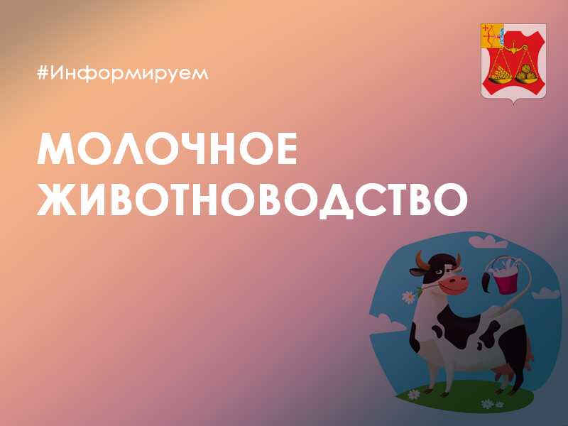 В 2024 году в Кировской области планируют произвести 830 тысяч тонн молока.