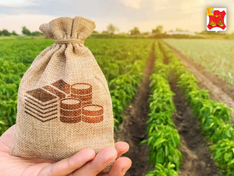 Объявлен прием заявок для предоставления субсидии на оказание поддержки сельхозтоваропроизводителям в области картофелеводства и овощеводства.