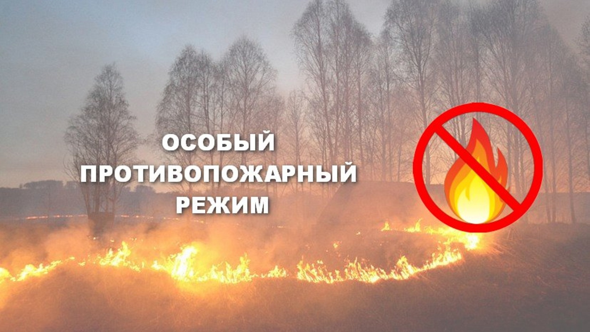 В Кировской области введен особый противопожарный режим.